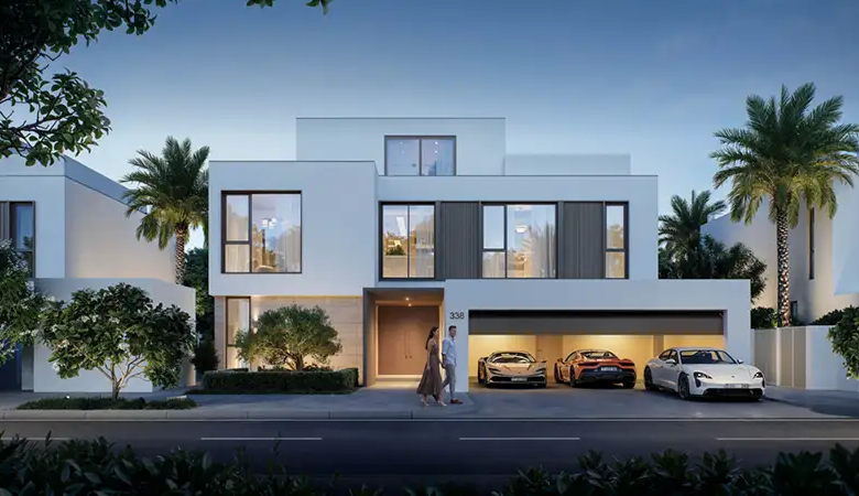 بالميرا كوليكتيف - Palmiera Collective